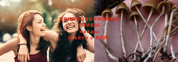 экстази Баксан